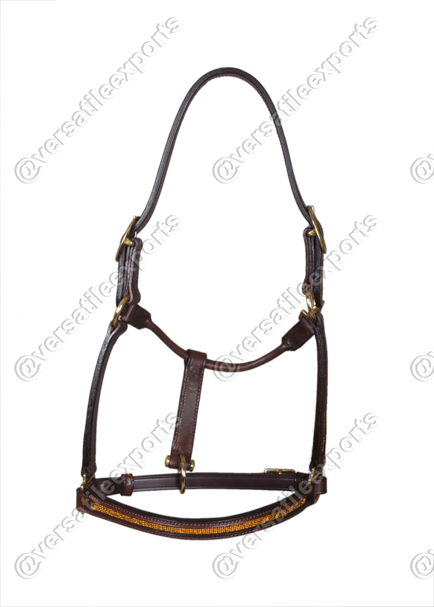 Halter Shiny